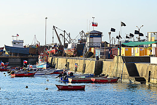 渔船,港口,安托法加斯塔,区域,智利,南美
