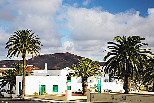 白色,房子,棕榈树,兰索罗特岛,加纳利群岛,西班牙,欧洲