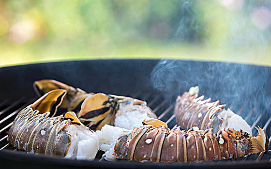 海螯虾,尾部,烧烤