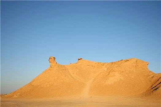 风景,骆驼,头部,石头