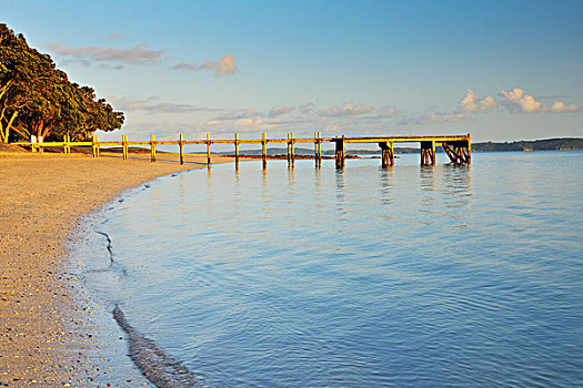 木码头,早晨,奥克兰,区域,北岛,新西兰
