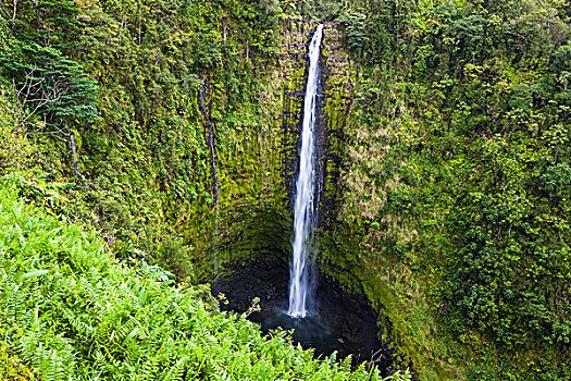 阿卡卡瀑布,阿卡卡瀑布州立公园,夏威夷大岛,夏威夷,美国,北美