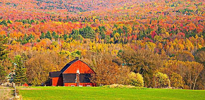 房子,正面,风景,秋天,树,萨顿,魁北克,加拿大
