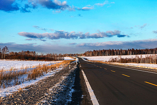冬季的森林公路