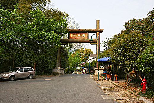 西湖茶乡,龙井