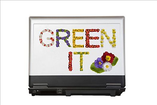 笔记本电脑,文字,绿色,信息技术,花