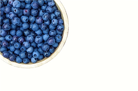 碗,蓝莓,隔绝,白色背景