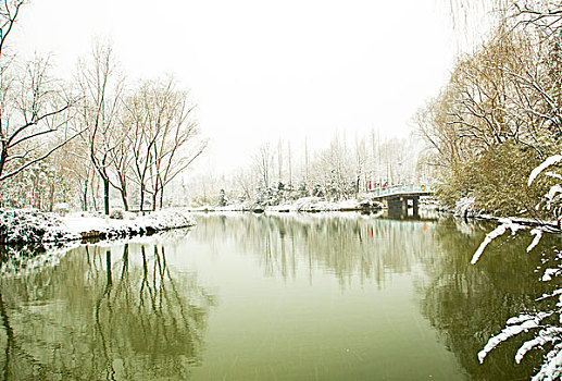 雪景