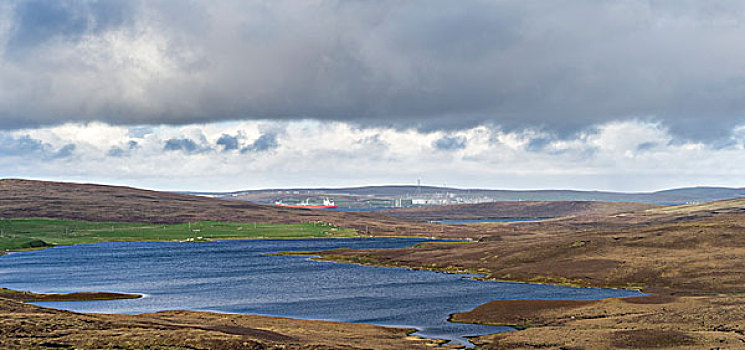 风景,油,设得兰群岛,苏格兰,大幅,尺寸