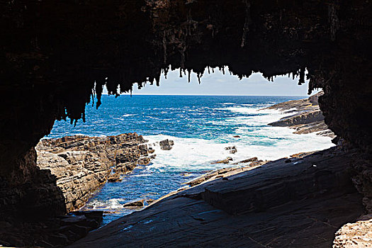 拱形,袋鼠,岛屿,南澳大利亚州