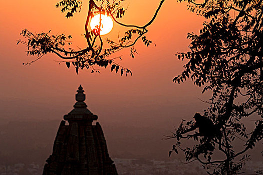 日落,城堡,6世纪,拉贾斯坦邦,印度