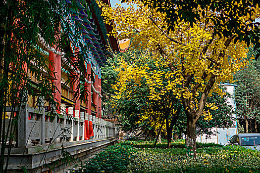 湖南长沙古开福寺－佛殿,钟鼓楼,古银杏,佛塔