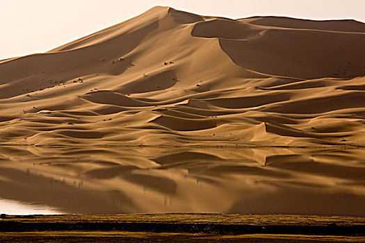 暂时,沙漠,湖,沙丘,湿,冬天,高,沙子,靠近,梅如卡,撒哈拉沙漠,摩洛哥,非洲