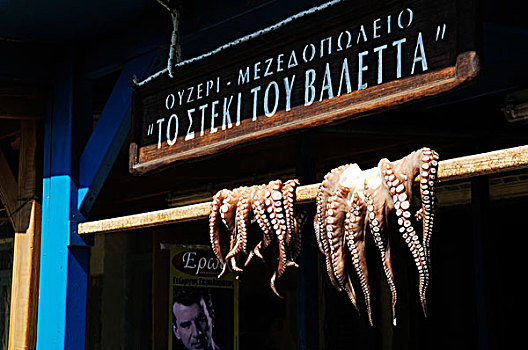 章鱼,正面,酒馆,纳克索斯岛,基克拉迪群岛,希腊,欧洲
