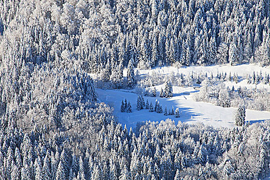 冬季风景,山谷,巴伐利亚,德国,航拍