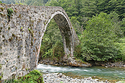 拱桥,上方,河,山谷,省,山,黑海,区域,土耳其,亚洲