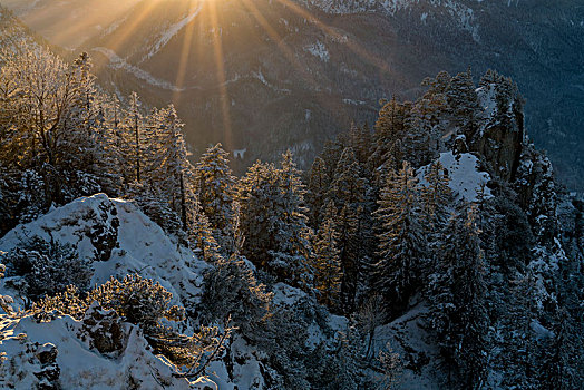 冬天,晚间,湖,科赫尔湖,巴伐利亚阿尔卑斯山,上巴伐利亚,巴伐利亚,德国