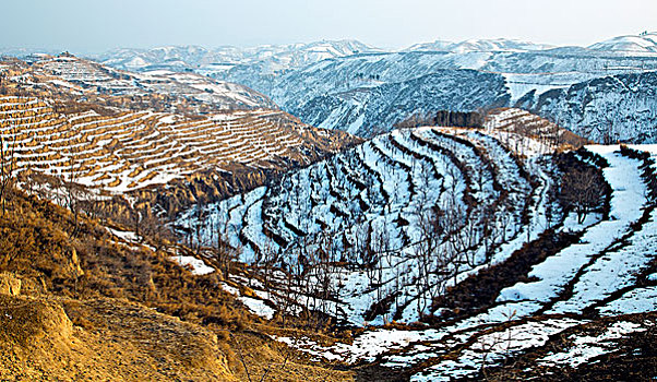 高原雪景