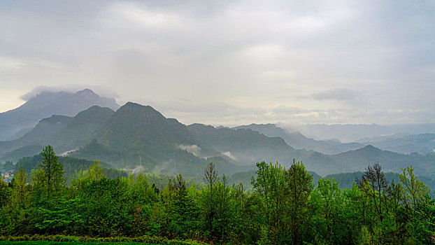 重庆酉阳,明前小雨润如酥