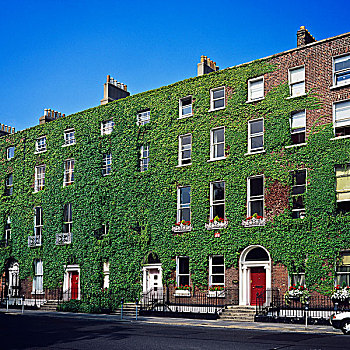 乔治时期风格,建筑,都柏林,爱尔兰