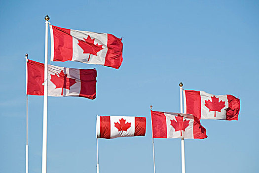 艾伯塔省,加拿大,五个,加拿大国旗,旗杆