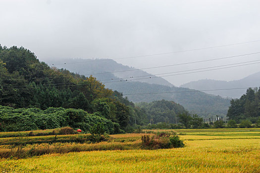 霭里村,美丽乡村,乡村旅游