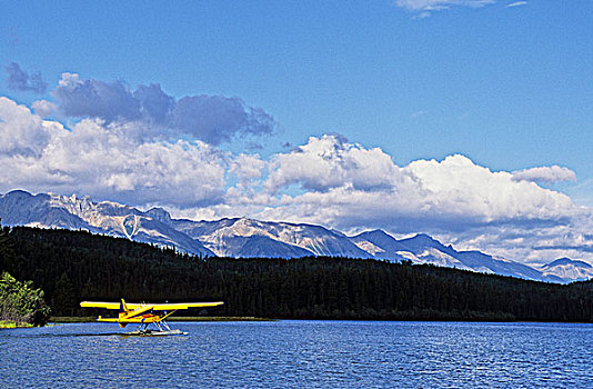 水上飞机,起飞,湖,荒野,北方,落基山脉,不列颠哥伦比亚省,加拿大