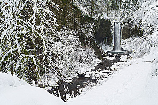 瀑布,冬天,哥伦比亚河峡谷,俄勒冈,美国