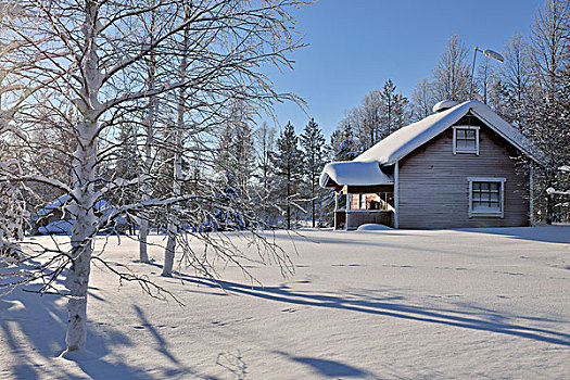 冬景,库萨莫,北方,芬兰