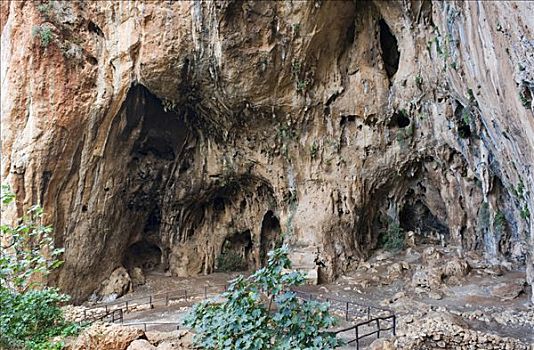 洞穴,自然保护区,靠近,西西里,意大利