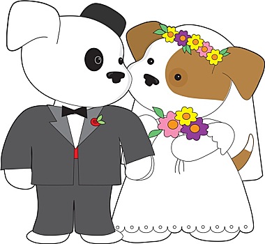 可爱,小狗,婚姻