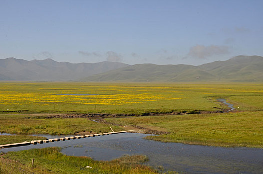 黄河蓄水池,甘南玛曲黄河湿地