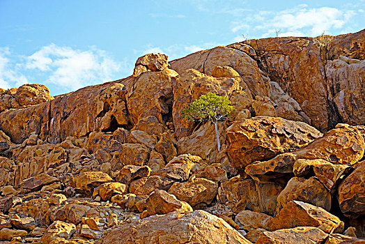 崎岖,花冈岩,石头,山,树,区域,纳米比亚,达马拉兰