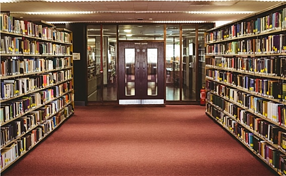 入口,大学,图书馆