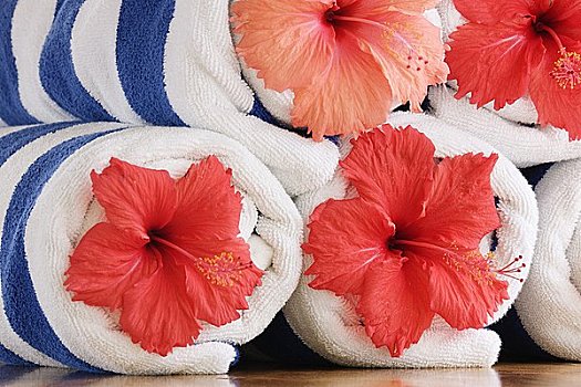 沙滩巾,木槿,花,波拉岛,胜地,塔希提岛,法属玻利尼西亚