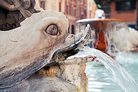意大利,罗马,碎片,喷泉,海豚