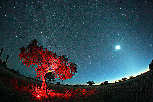 纳米比亚,观测,星空