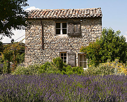 薰衣草种植区,石屋,靠近,普罗旺斯