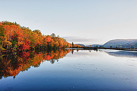 秋叶,反射,布雷顿角,新斯科舍省,加拿大