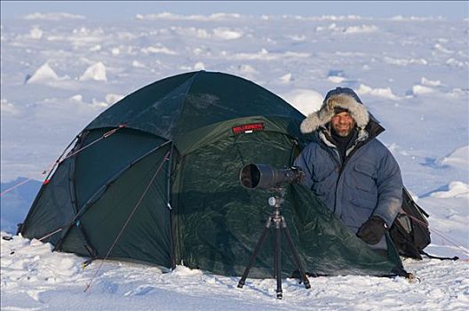摄影师,摄影,三脚架,帐蓬,露营,区域,北极圈,海岸,春天,阿拉斯加