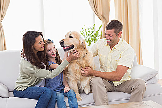 家庭,抚摸,狗,坐,沙发