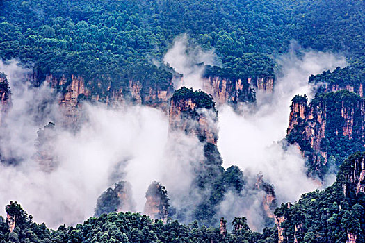 湖南,张家界,峰林,云雾