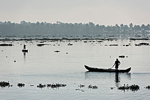 男人,小船,湖,喀拉拉,印度南部,印度,亚洲