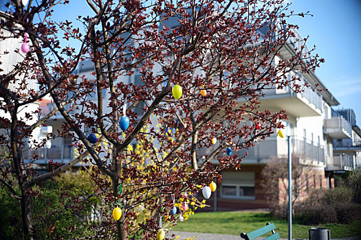 树上,复活节彩蛋