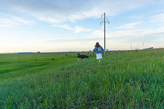 一个女孩在草原上向一直小牛跑去