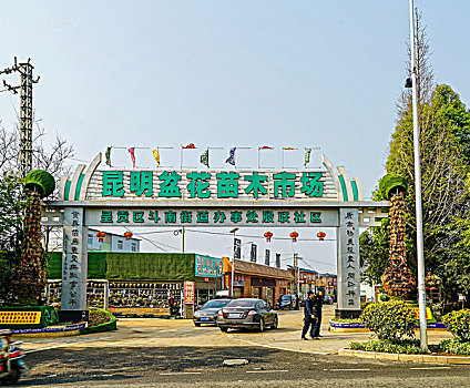昆明斗南盆景市场