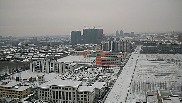 雪景