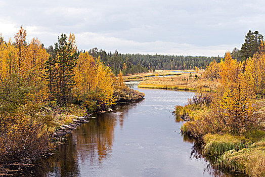 河,东方,拉普兰,芬兰,欧洲