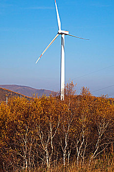 秋天中国山峰地带高大成片的风力发电车