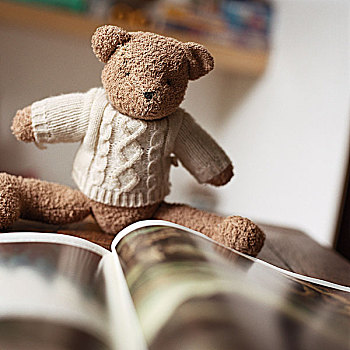 毛绒玩具,泰迪熊,看书